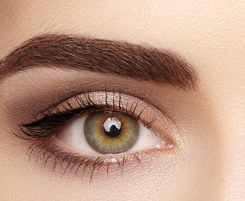 eyebrow-transplant main