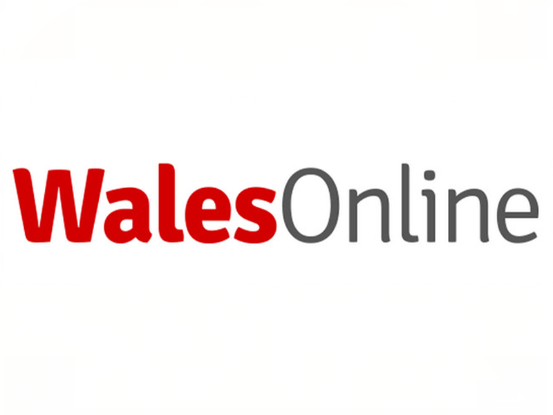 walesonline.png